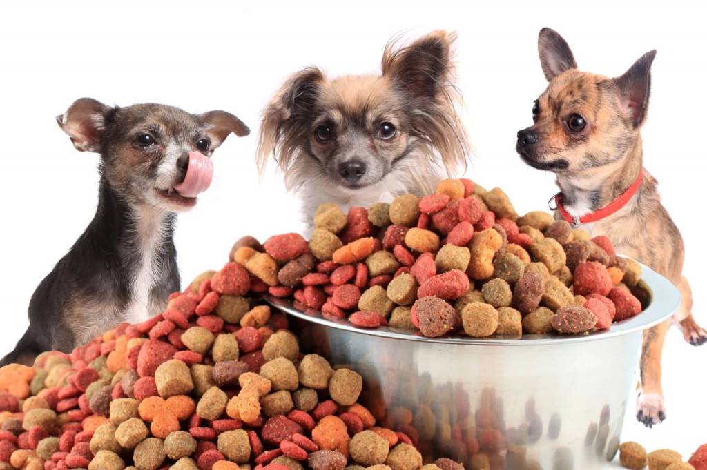 Диета При Аллергии У Собак Натуральной Пищи