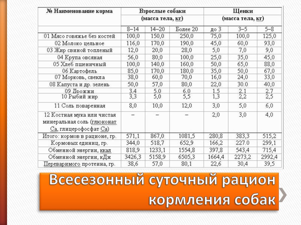 Правильный Рацион Питания Щенка Немецкой Овчарки