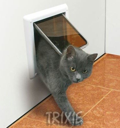 Дверца для кошек в дверь в туалет: как выбрать лаз