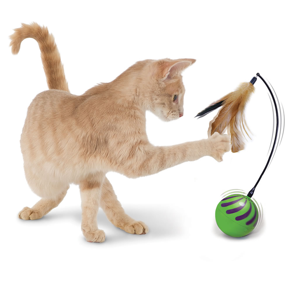Игрушки для кошек: развивающие интеллектуальные изделия
