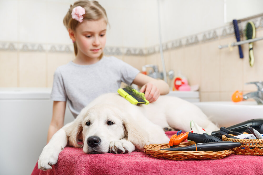 Как ухаживать за собакой правильно в домашних условиях
