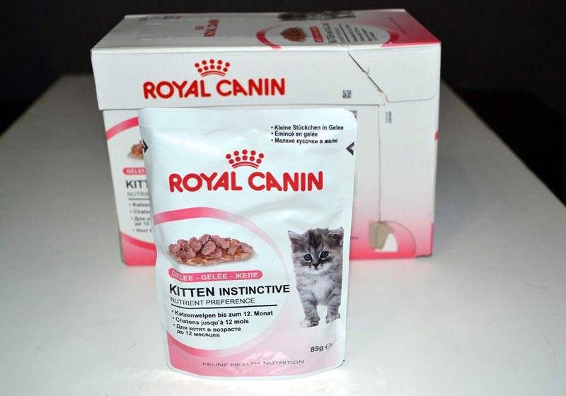 Обзор корма «Роял Канин» для кошек