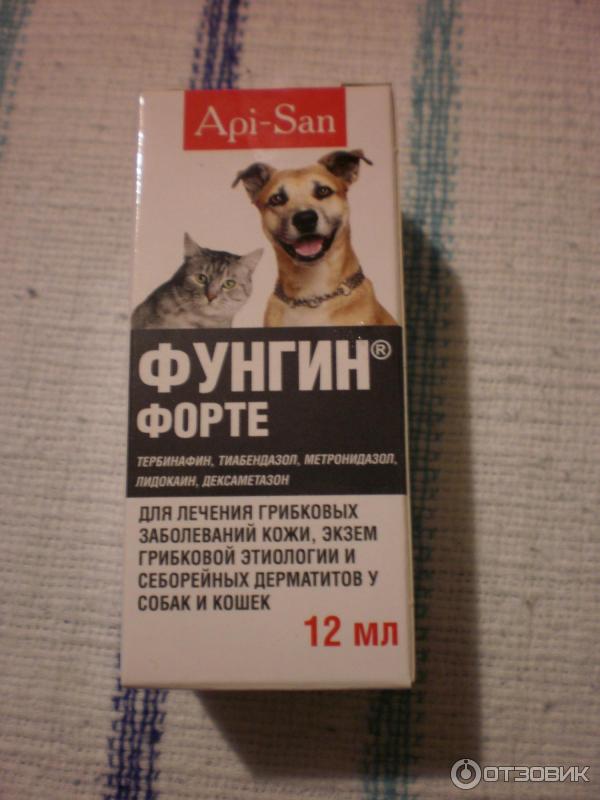 Фунгин Форте – препарат для кошек и котов