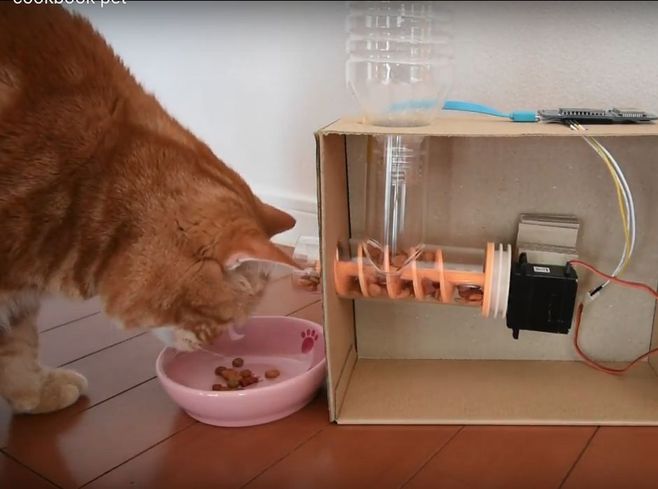 Автоматическая кормушка для кошек своими руками
