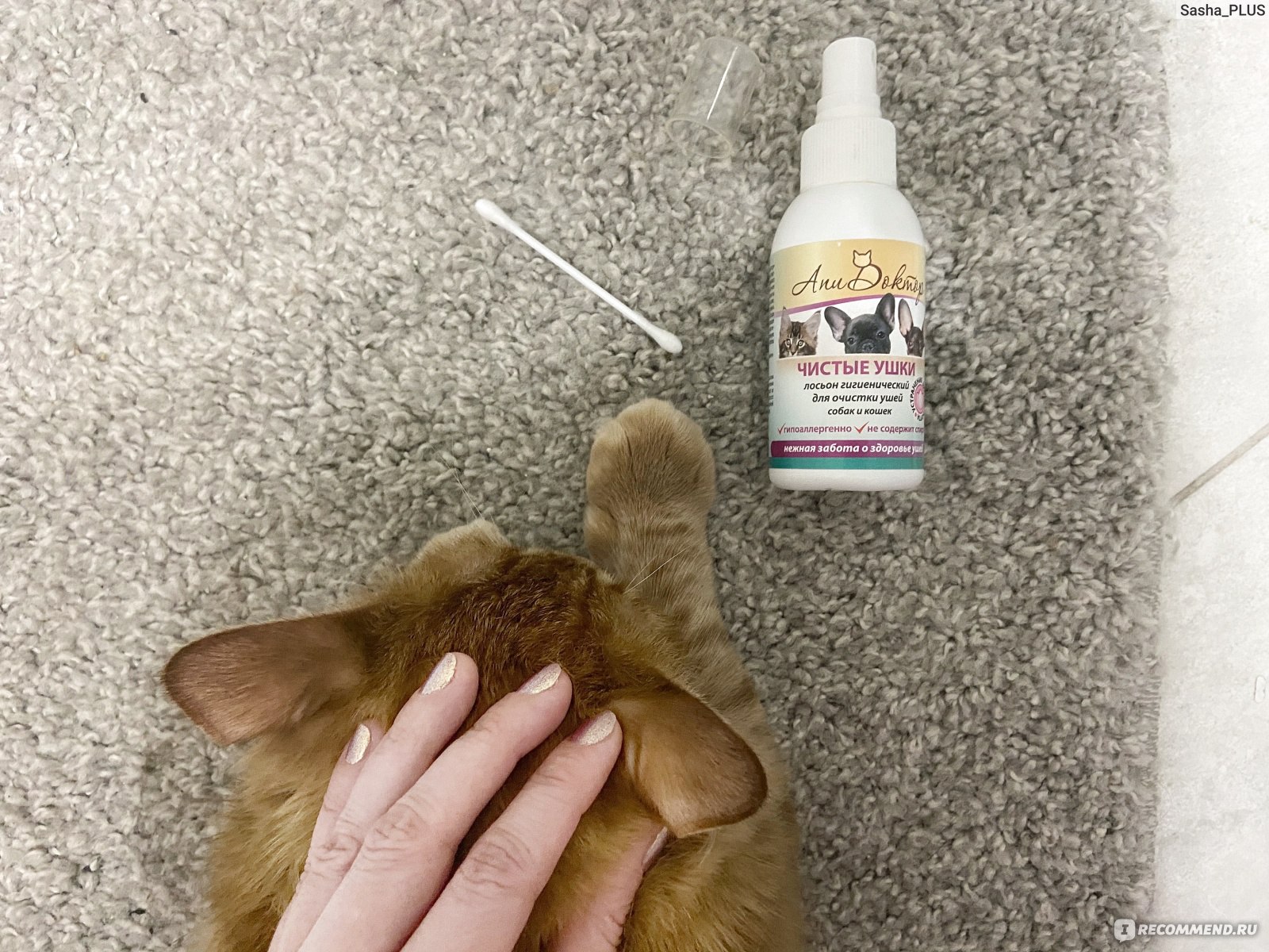 Как чистить уши собаке в домашних условиях