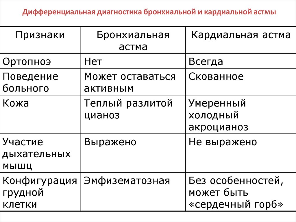 Астма у кошек: симптомы и лечение