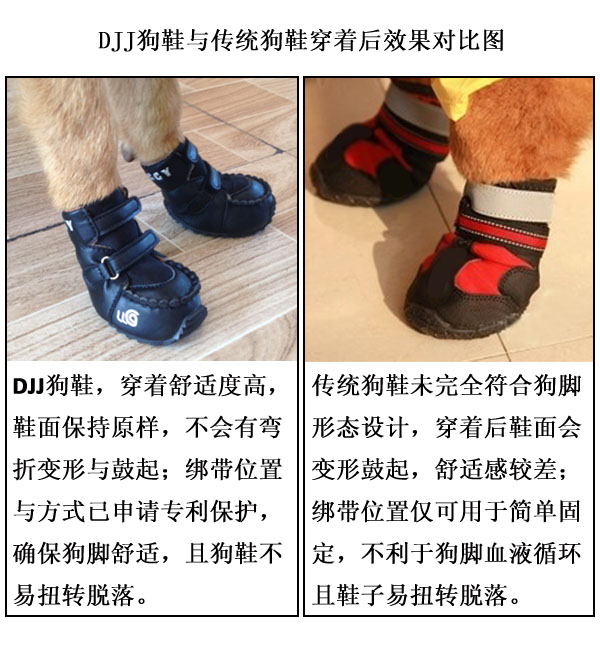 Обувь для собак: ботинки для мелких и крупных пород