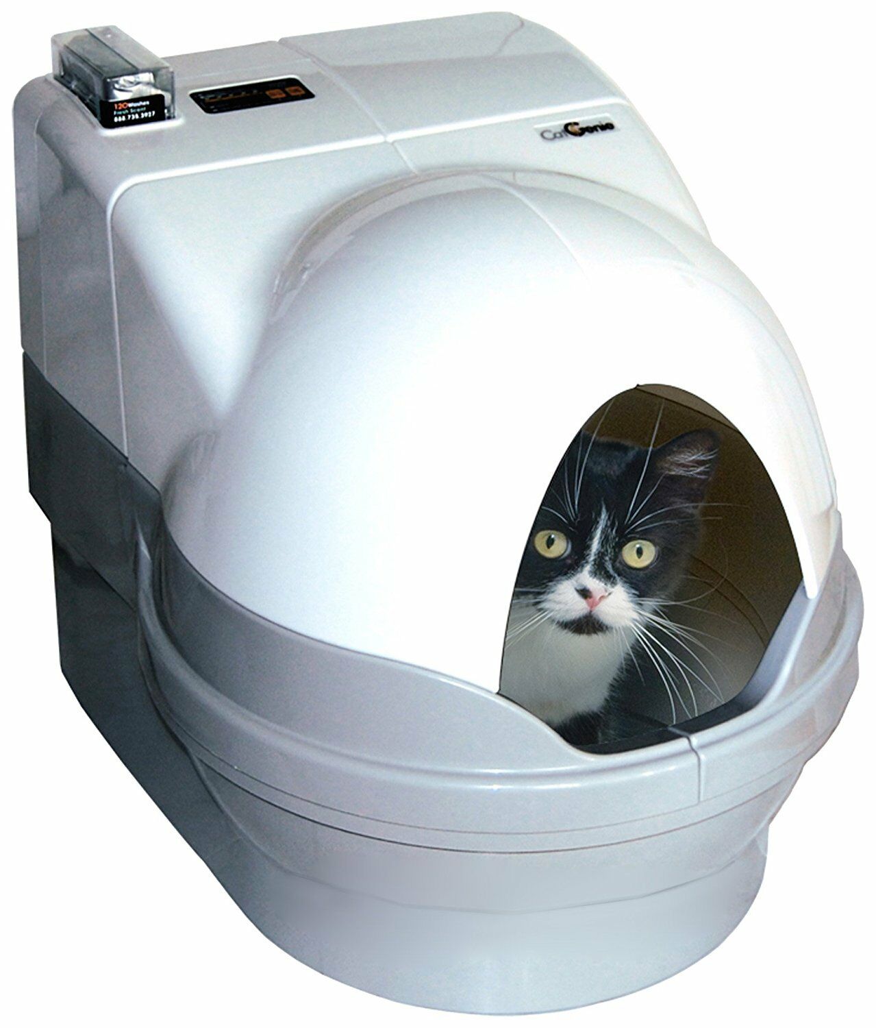 Туалет для кошек: как выбрать лучший