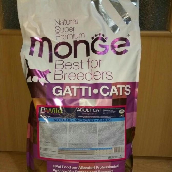 Корм для кошек Monge («Монж»): состав и особенности рационов