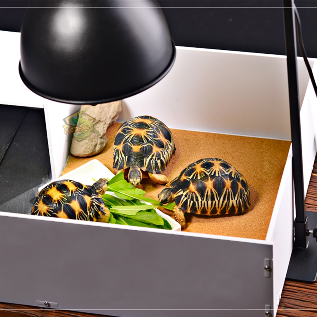 Ультрафиолетовая лампа для черепах — какую выбрать