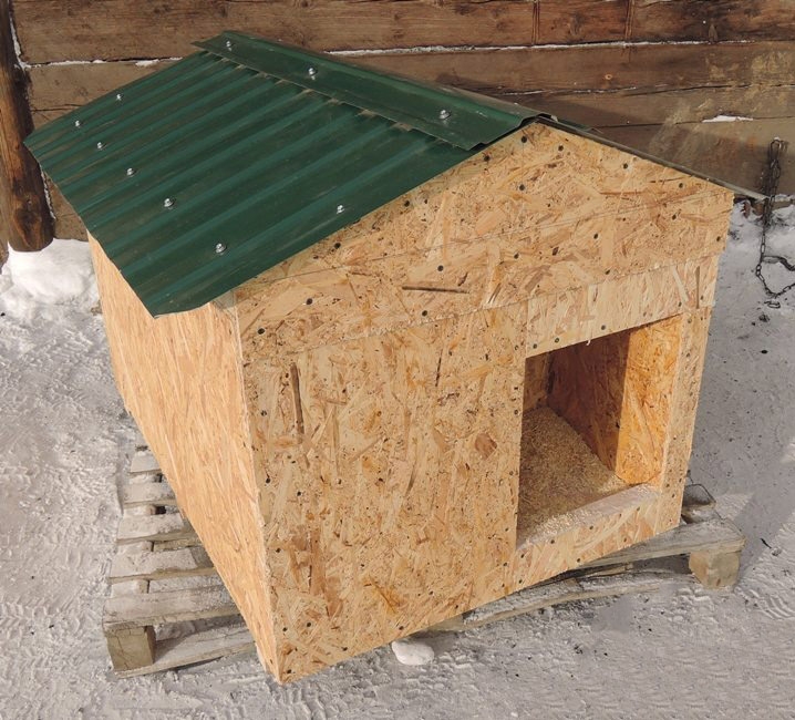Как построить будку для собаки своими руками?