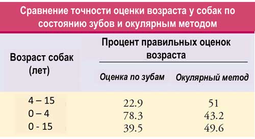 Как определить возраст собаки по зубам и внешним признакам