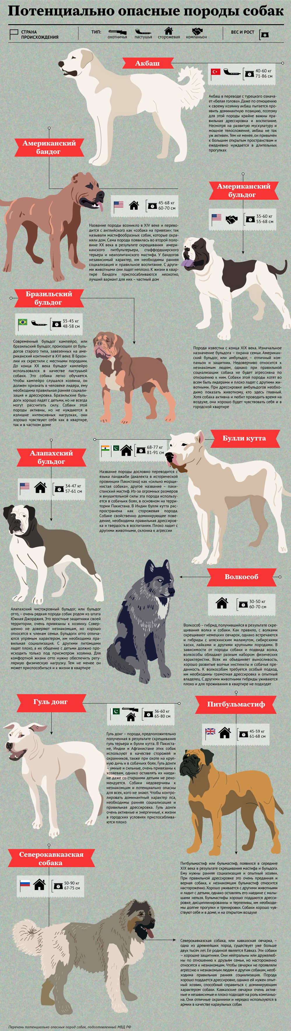 Список опасных пород собак, принятый госдумой