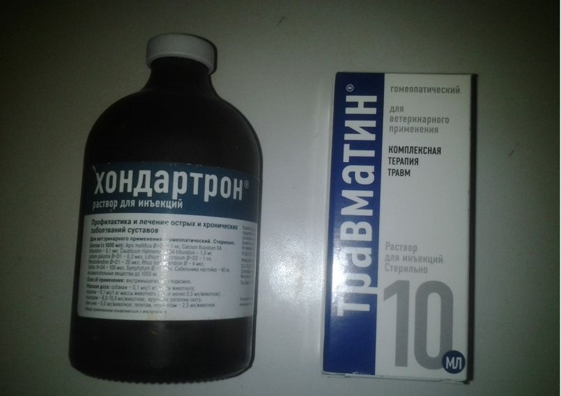 Хондартрон для собак