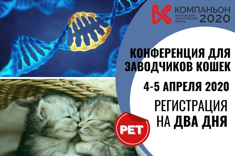Скоро будет принят закон, обязывающий заводчиков и продавцов животных регистрироваться