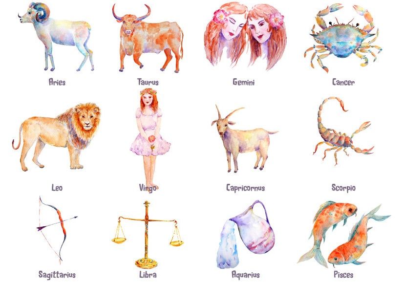 Животные по знакам Зодиака: кому какие подходят