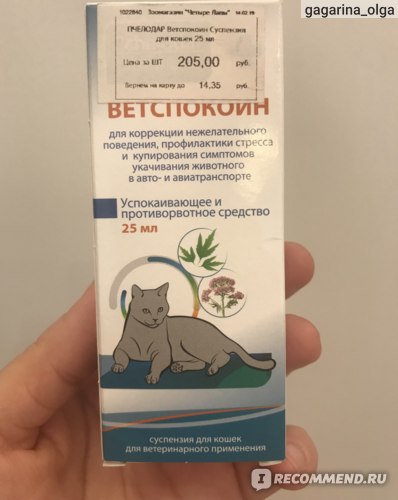 Успокоительное для кошек: в дорогу, в домашних условиях