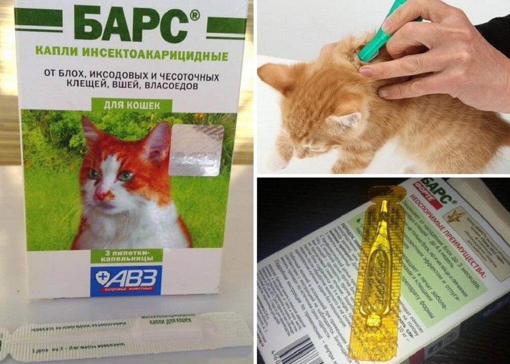 Капли от клещей для кошек: таблетки , средство