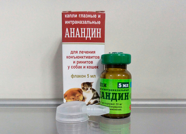 Максидин для кошек: инструкция по применению