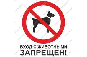 Вход запрещен: почему в магазины нельзя заходить с собаками