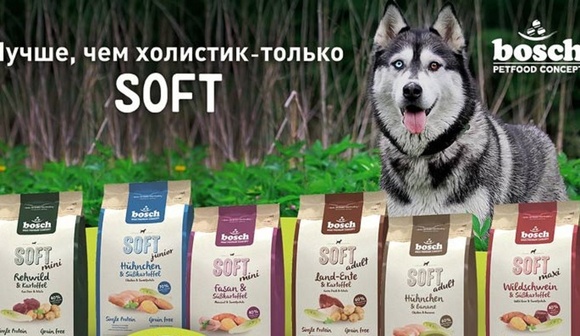 Корм soft. Бош софт корм для щенков. Бош корм логотип. Bosch Petfood корм для собак. Корм Bosch Soft для собак холистик.