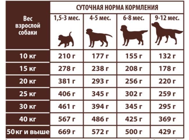 Сколько сухого корма давать собаке в день: таблица
