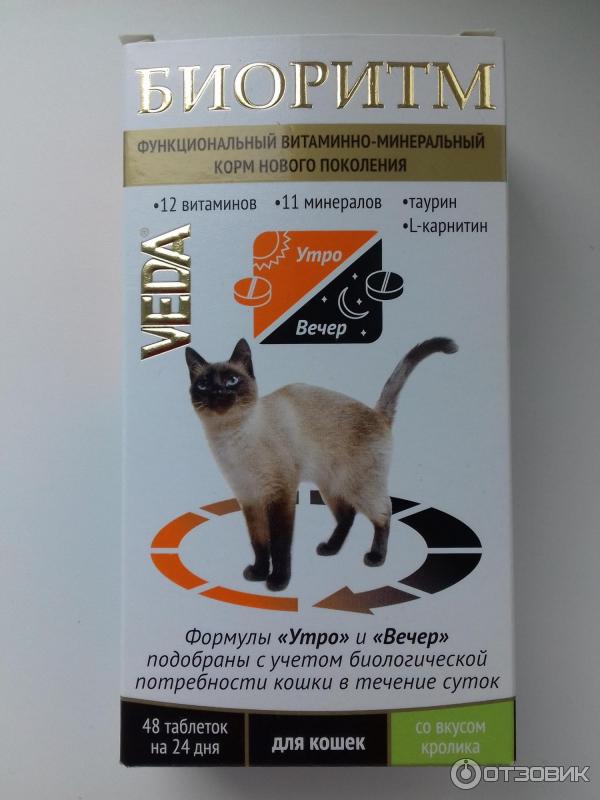 Витамины для кошек Sanal: самые эффективные и популярные препараты бренда