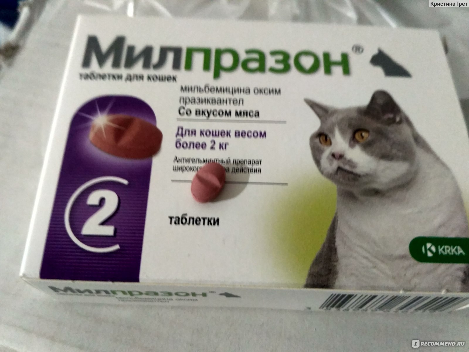 Средство Милпразон: защита кошки от глистов