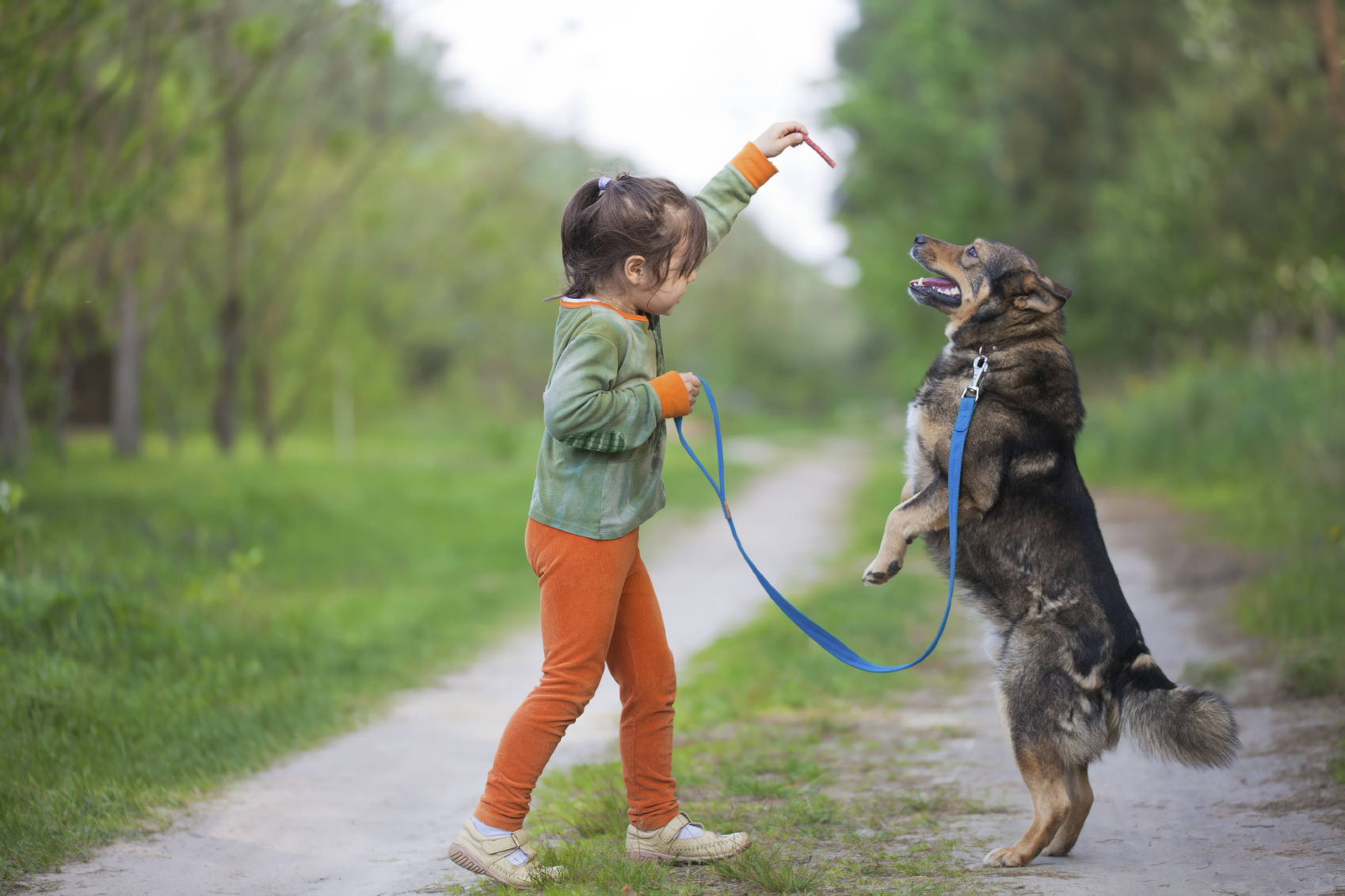 Гуляю басс. Домашние животные для детей. Собака для детей. Домашние животные и человек. Прогулка с собакой.