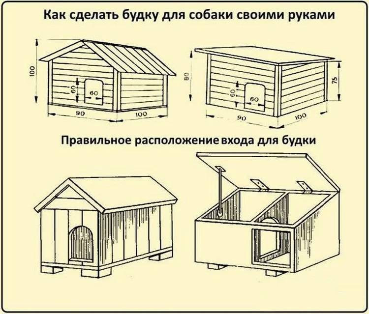 Вольер для хаски своими руками: чертежи и размеры