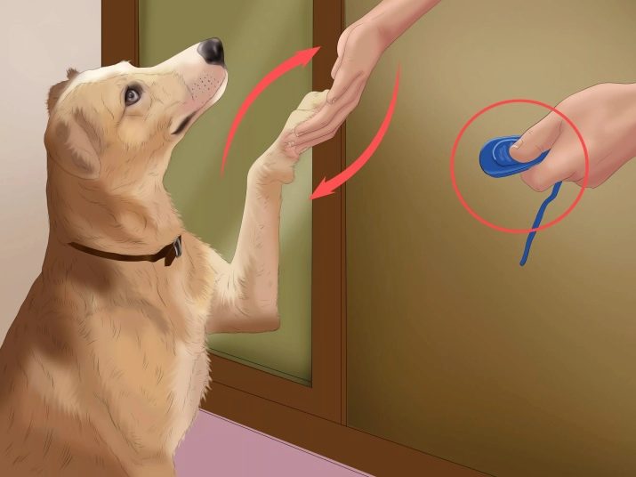 Ученые придумали как дрессировать собак с помощью вибраций