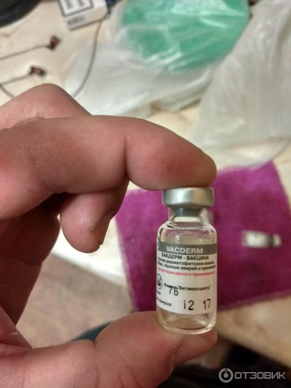 Инструкция по применению вакцины Вакдерм F