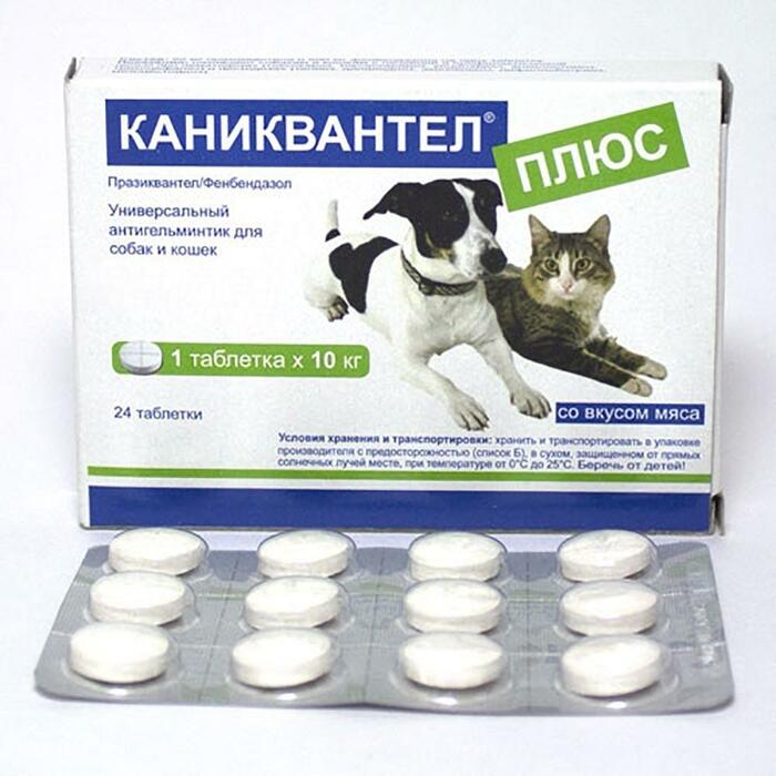 Глистогонное для кошек: антигельминтные препараты