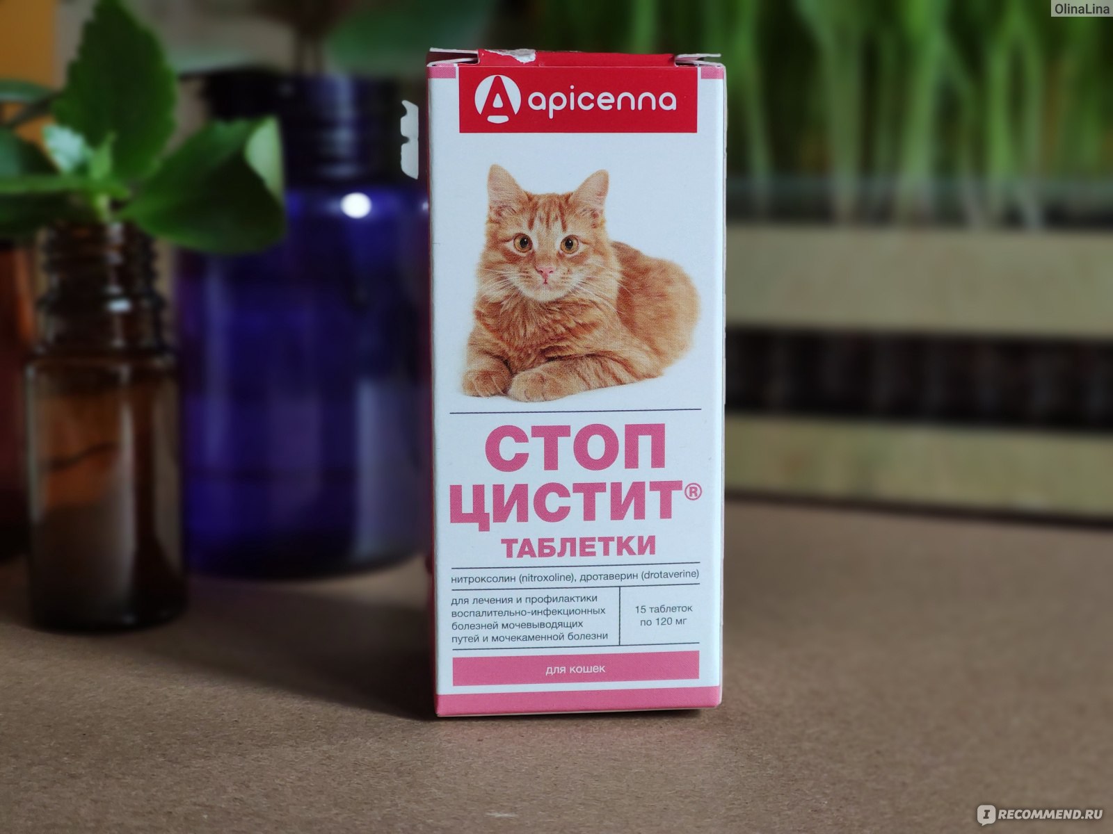 Ветеринарный препарат Стоп-цистит