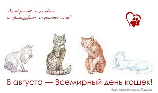 Всемирный день кошек