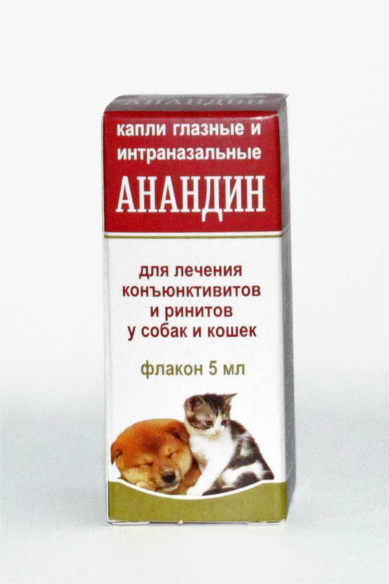 Анандин для кошек: инструкция по применению