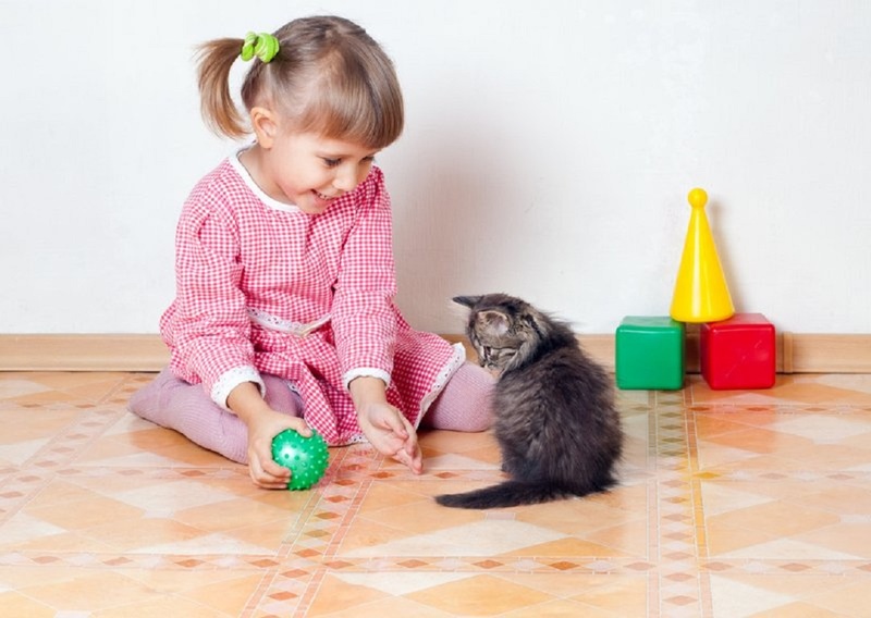 Нужно ли и как правильно играть с кошкой?
