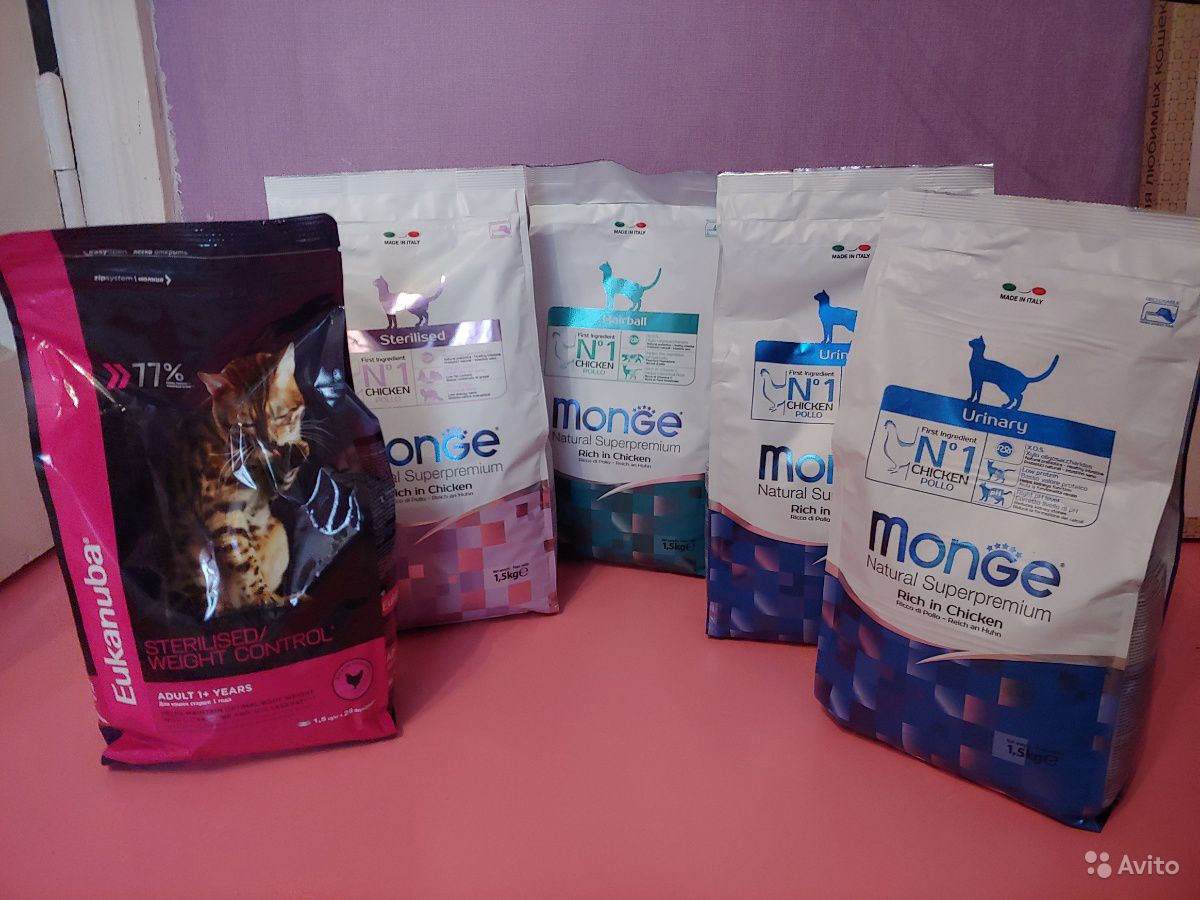 Монж: корм для кошек и котят, состав Monge