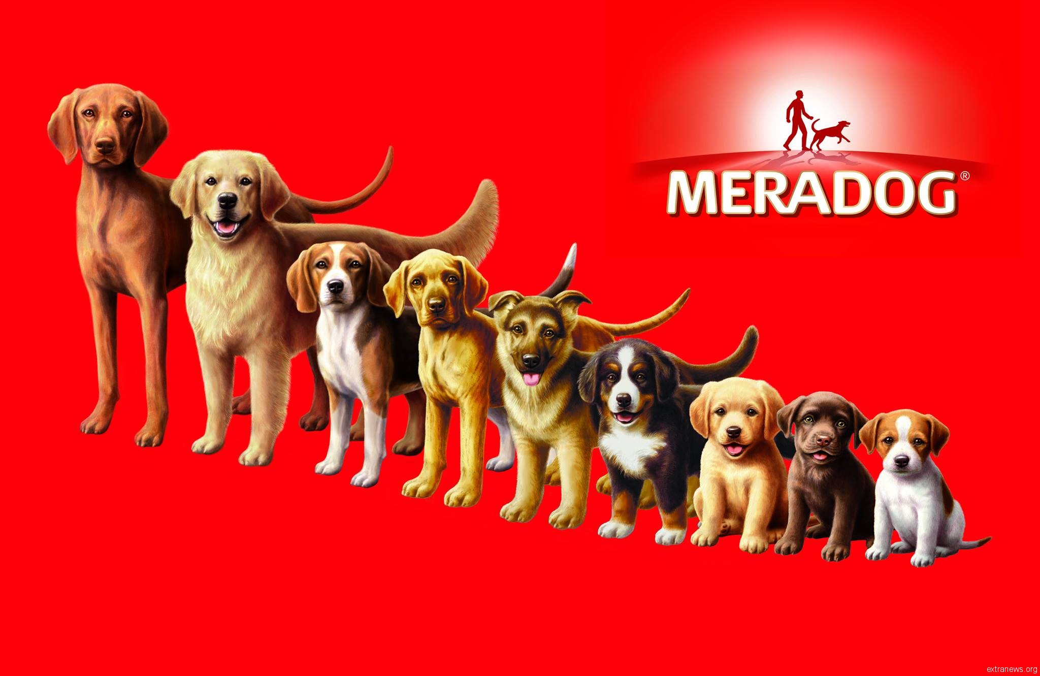 «Мерадог» (корм для собак и щенков): обзор