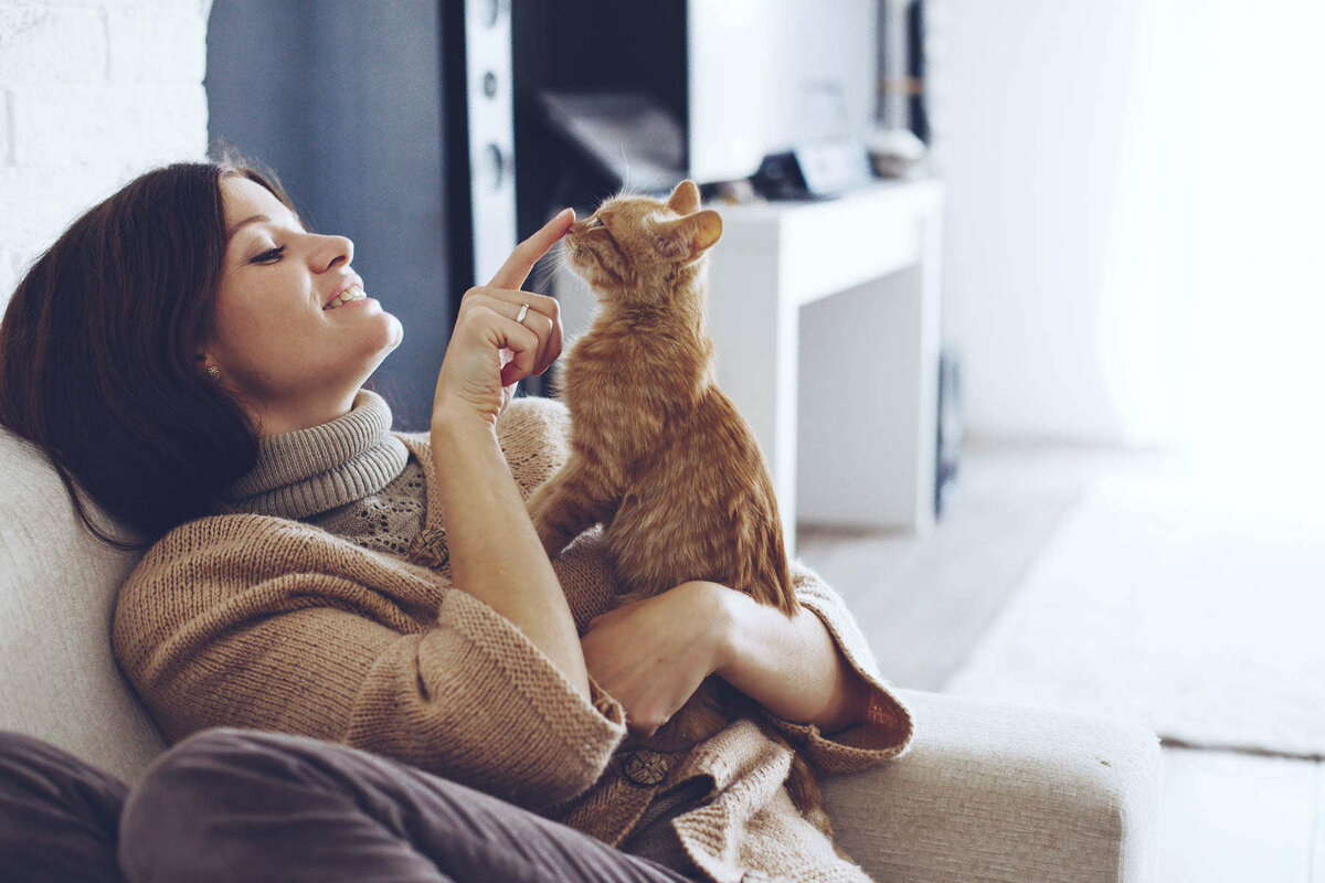 5 вещей, которых больше всего боятся домашние кошки