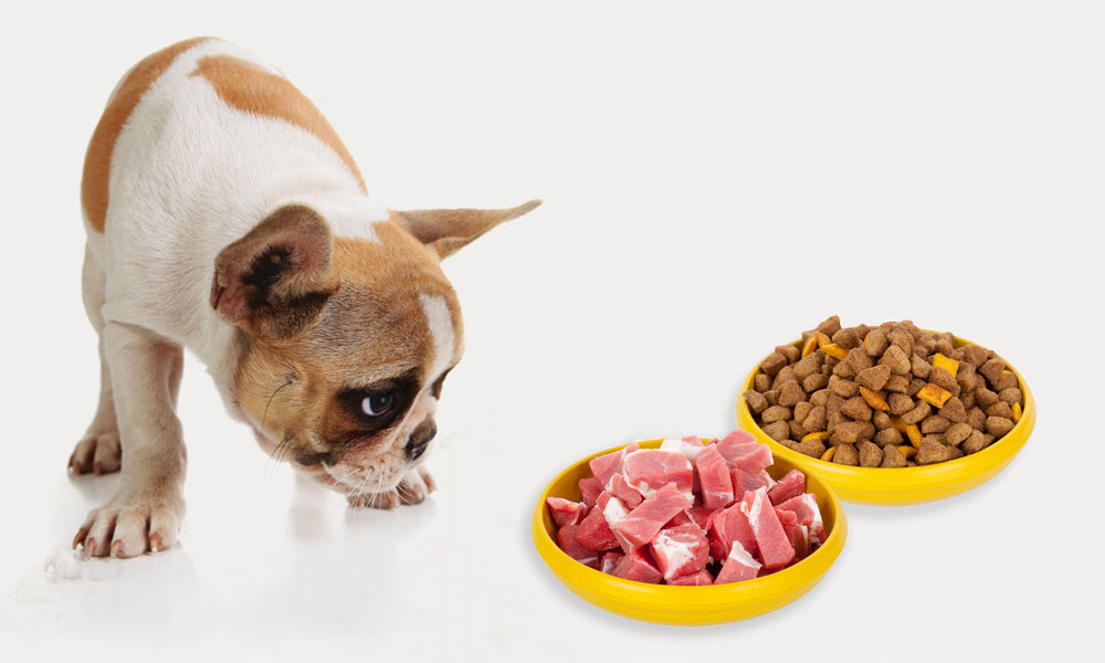 Можно ли кормить собаку сухим и натуральным кормом одновременно