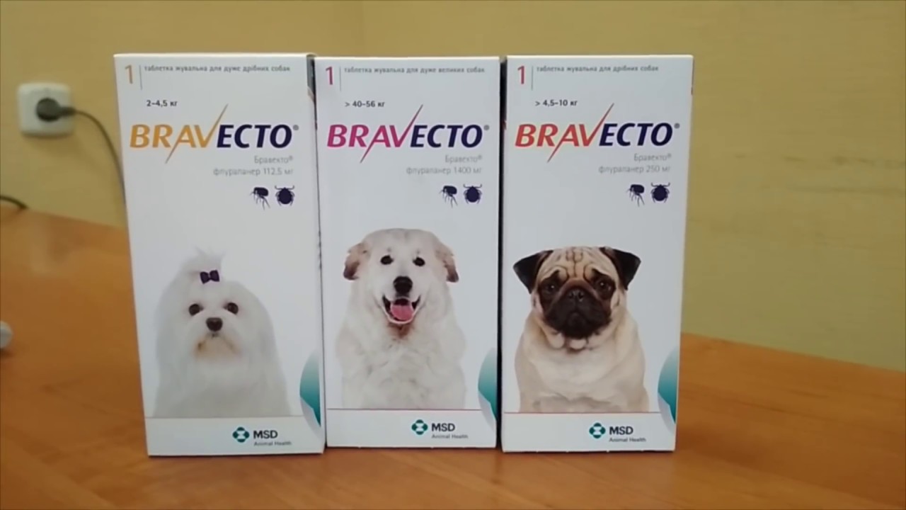 Бравекто для кошек: инструкция, таблетки