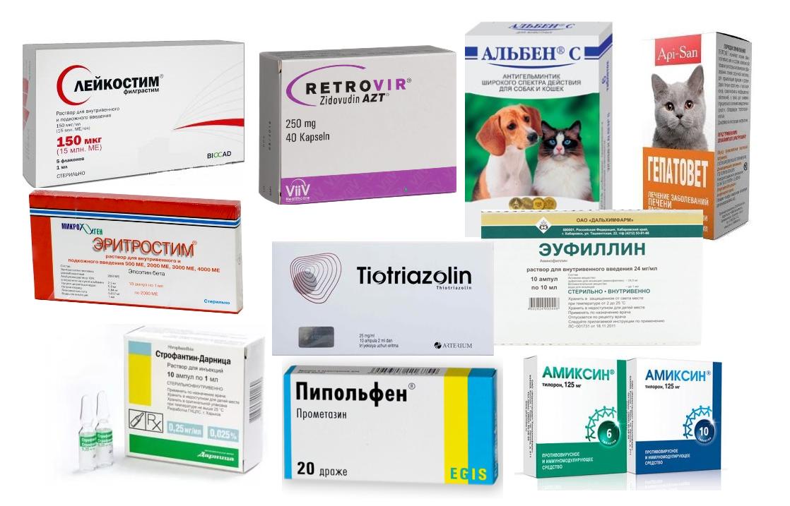 Антигистаминные препараты для кошек