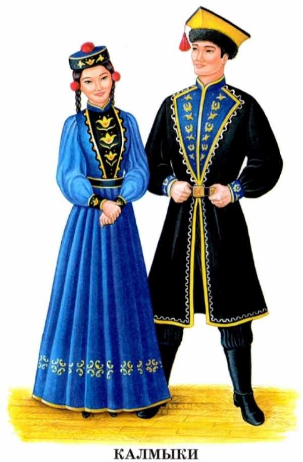 Самые редкие породы кошек и котов