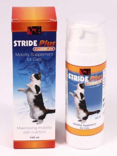 Препарат Страйд Плюс: помощь при заболеваниях опорно-двигательного аппарата у кошек
