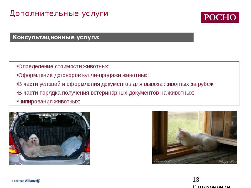 Обязательное страхование животных