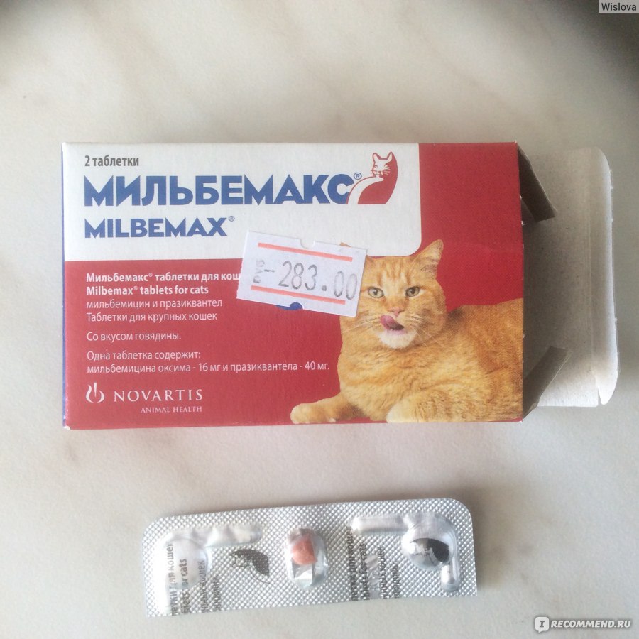 Мильбемакс для кошек: инструкция по применению