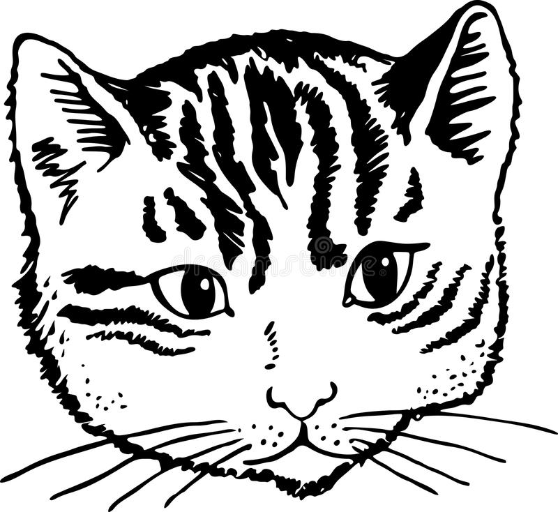 Рисуем морду кошки