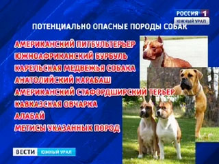 Опасные породы собак: что диктует российский закон