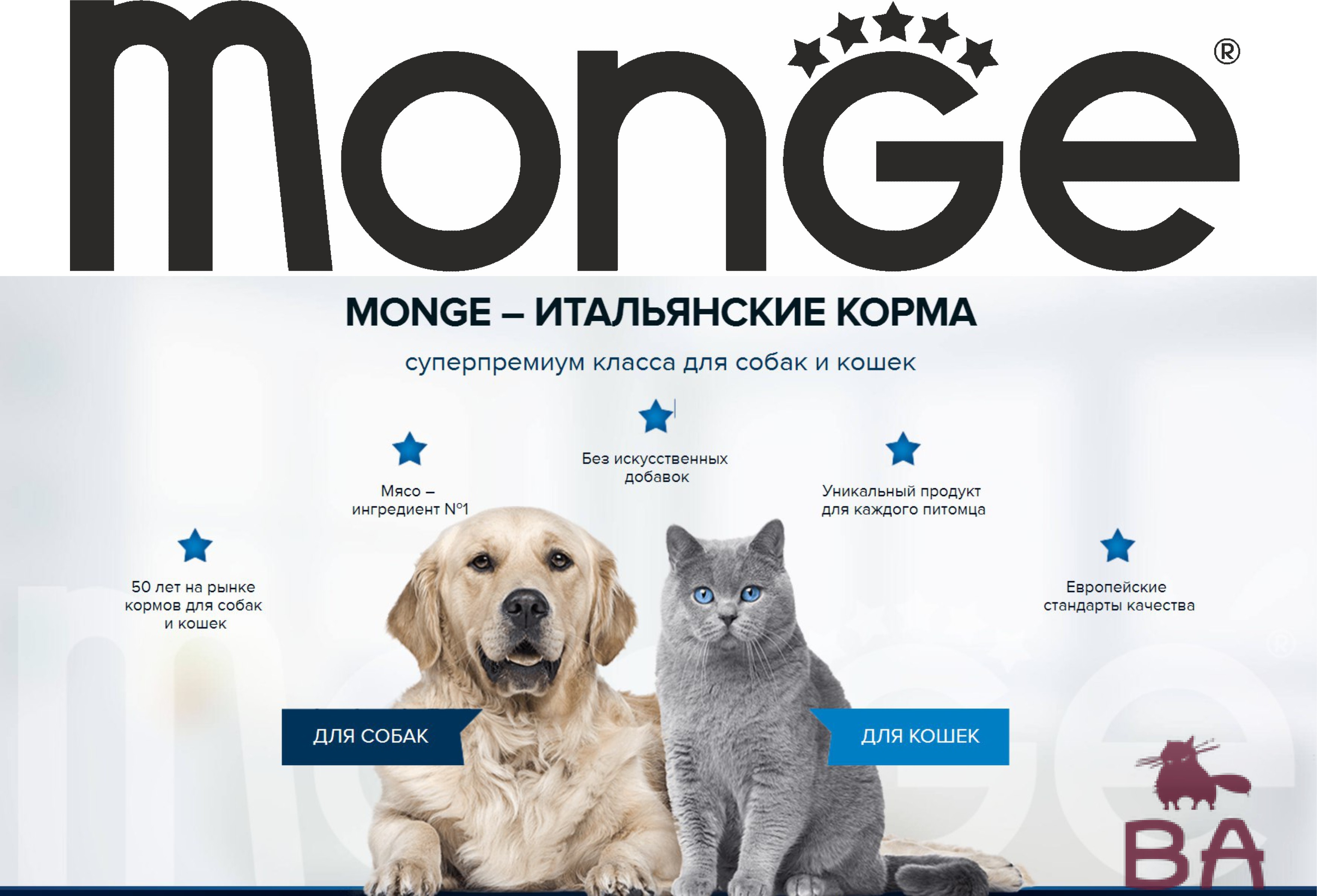 Корм для кошек Monge («Монж»): состав и особенности рационов